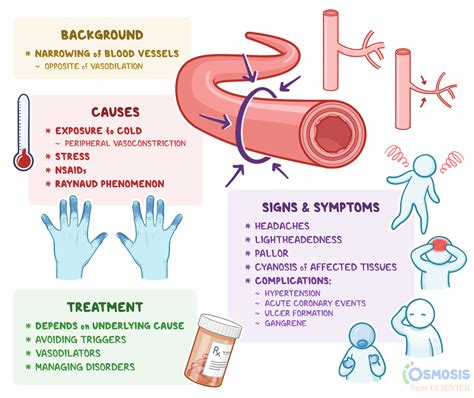 vasoconstriction peripheral resistance.